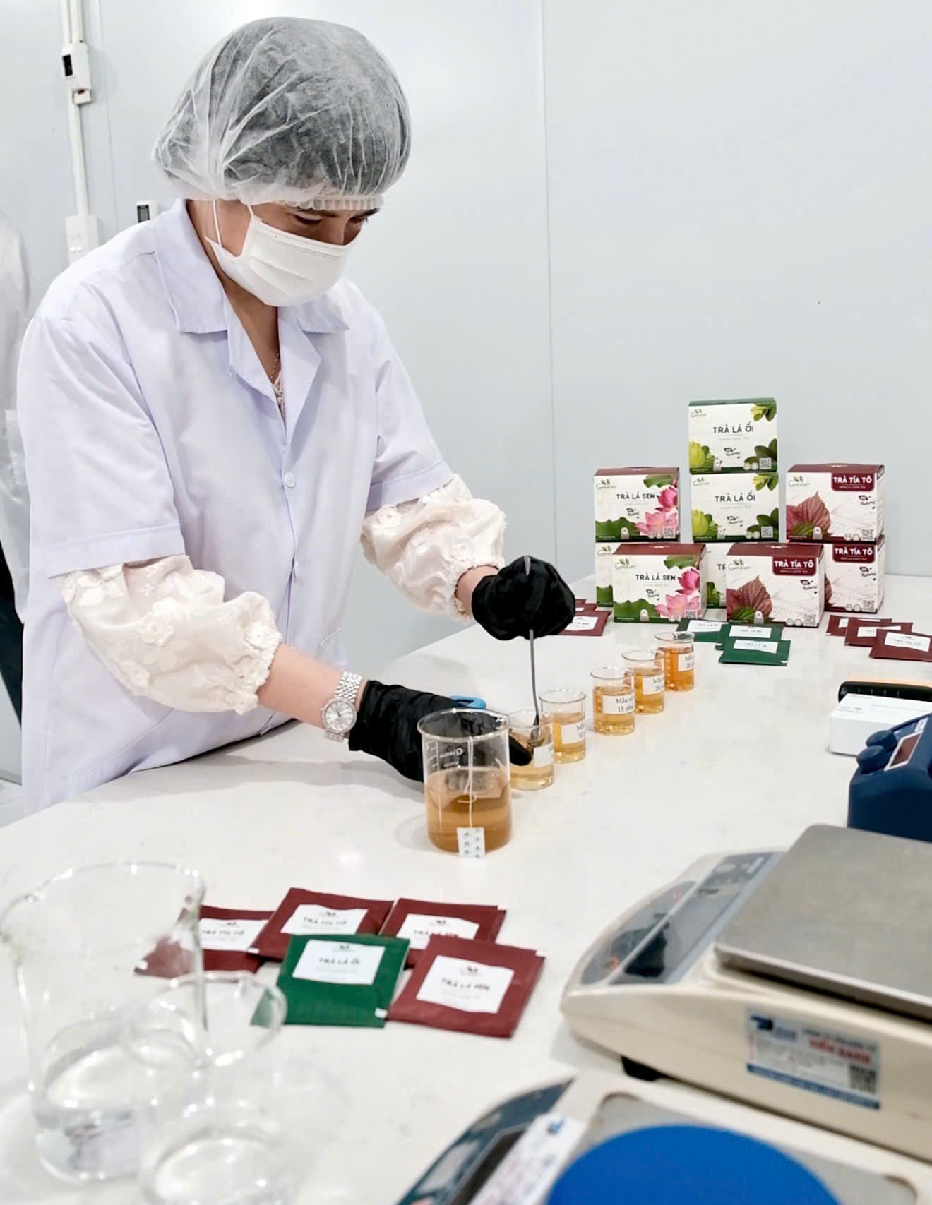 MANUFACTURING CAPACITY