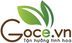 Goce Group